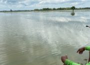 Ratusan Hektar Sawah Petani di Jombang Terendam Banjir