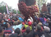 Ribuan Warga di Jombang Saling Berdesakan Berebut Gunungan 2 Ton Buah Manggis Gratis Dalam Tradisi Andum Manggis