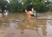 Banjir Melanda Sejumlah Desa Di Jombang