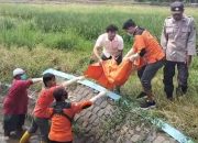 Biadab, Bayi Ini Baru Dilahirkan Dibuang Di Saluran Irigasi