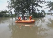 Banjir Jombang Memakan Korban, Seorang Petani Tenggelam Saat Hendak Menyelamatkan Bibit Padinya Yang Hanyut