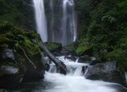 Indahnya Air Terjun Bayu Lor di Banyuwangi, Cek Harga Tiket, Fasilitas dan Daya Tariknya