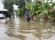 Sudah Dua Hari, Banjir Rendam Pemukiman warga di Kesamben Jombang