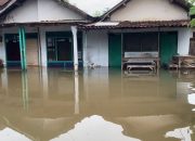 Dua Hari Kebanjiran, Warga di Jombang Mengeluh Tak Ada Bantuan Dari pemerintah