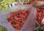 Harga Cabe Di Jombang Meroket Tembus 110 Ribu Rupiah Perkilo