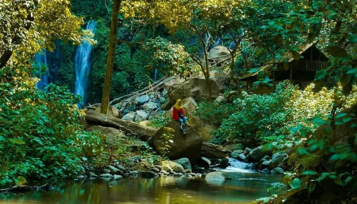 Indahnya Air Terjun Selotirto, Destinasi Wisata di Banyuwangi Yang Ciamik. Cek Lokasi, Fasilitas, Daya tarik dan Harga Tiketnya