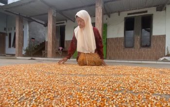 Jamaah Haji Tertua Jombang Usia 87 Tahun, Tetap Bugar dan Semangat Menuju Tanah Suci