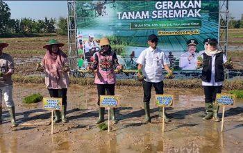 Dari Nganjuk, Kementan Pimpin Gerakan Tanam Padi Serentak untuk Percepat Swasembada Pangan