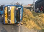 Truk Terguling di Jombang, 10 Petani Asal Nganjuk Tertimbun Muatan Padi