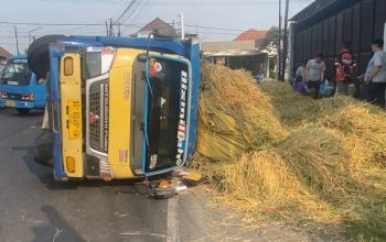 Truk Terguling di Jombang, 10 Petani Asal Nganjuk Tertimbun Muatan Padi