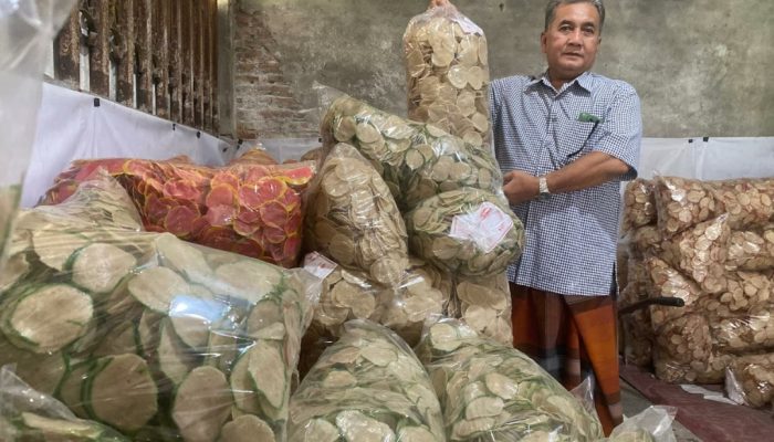Berkat Dukungan BRI, Petani Ini Sukses jadi Raja Kerupuk Goreng Pasir di Jombang
